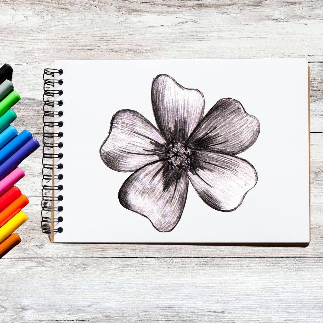Sketch Pads