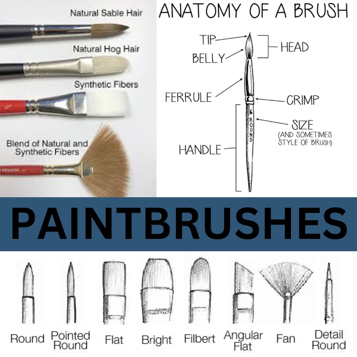Pro-Art Natural Hog Hair Flat Tip Paintbrushes #579 - Set of 12