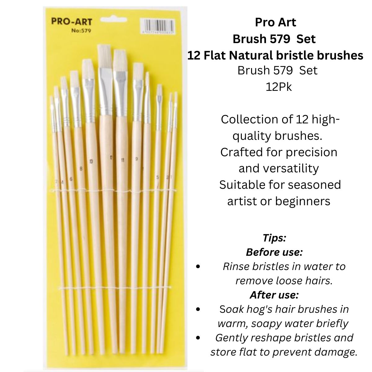 Pro-Art Natural Hog Hair Flat Tip Paintbrushes #579 - Set of 12