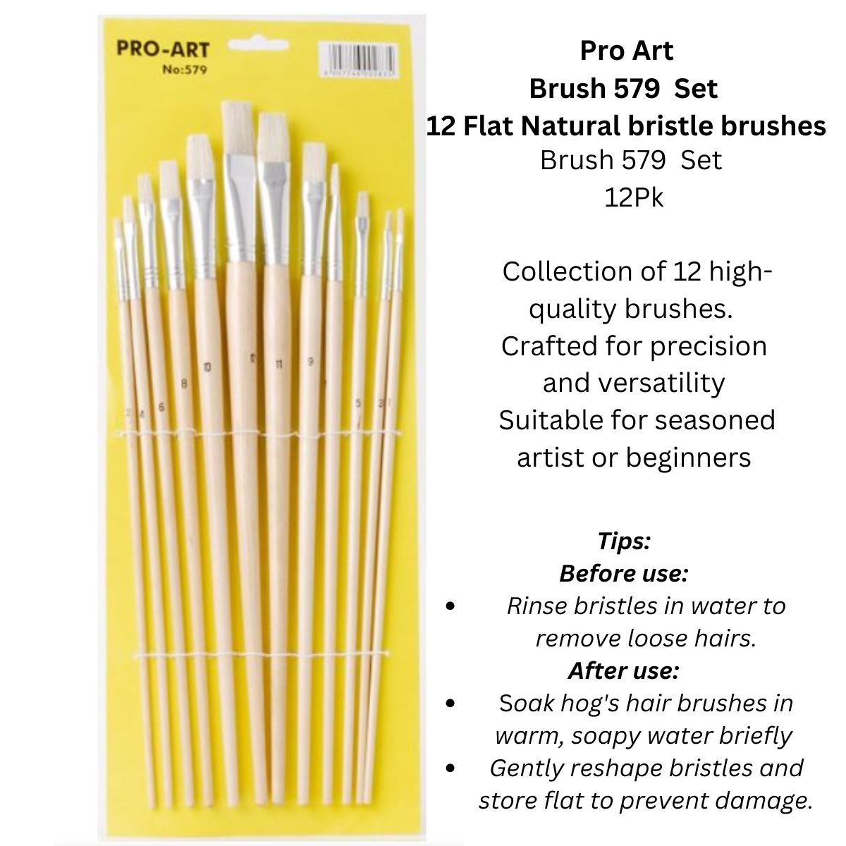 Assorted Paintbrushes