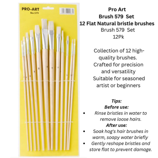 Pro-Art Natural Hog Hair Flat Tip Paintbrushes #579 - Set of 12