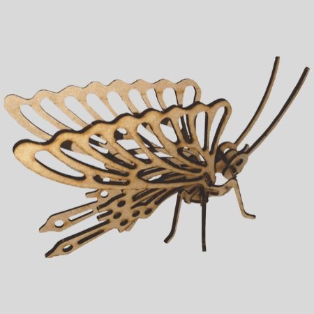 Laser Cut Butterfly Model