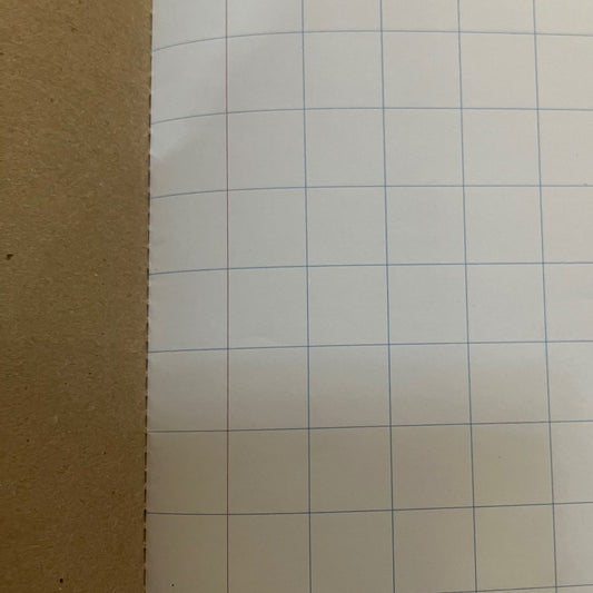 Quad & Margin A4 17mm Exercise Book - 72 Page
