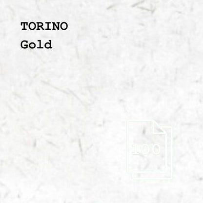 Torino Paper, Board & Envelopes